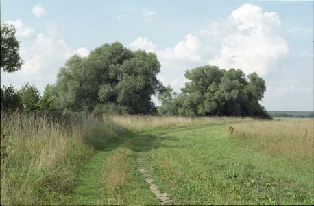 Поле в окресности города Жукова на реке Протва