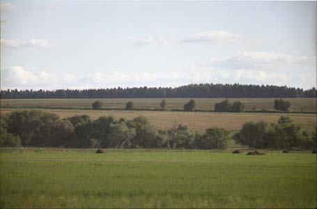 Поля и леса в окресности города Жукова на реке Протва близ пионер-лагеря "Солнечный" позже им. Жукова (ныне ликвидирован)