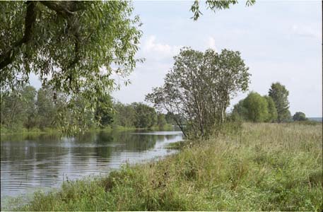 Озеро Огублянка в окресности города Жуков на реке Протва близ пионер-лагеря "Солнечный" позже им. Жукова (ныне ликвидирован)