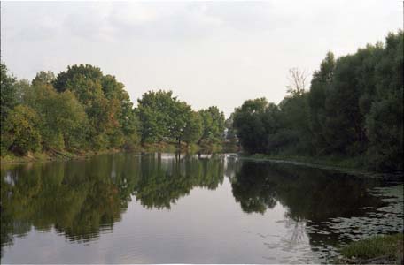 Озеро Огублянка в окресности города Жуков на реке Протва близ пионер-лагеря "Солнечный" позже им. Жукова (ныне ликвидирован)