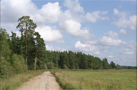Тропинка, поле и лес в окресности города Жуков на реке Протва близ пионер-лагеря "Солнечный" позже им. Жукова (ныне ликвидирован)