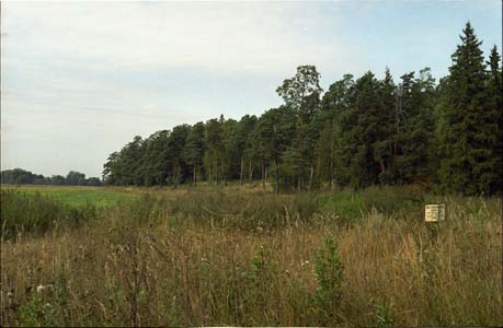Поле и лес в окресности города Жуков на реке Протва близ пионер-лагеря "Солнечный" позже им. Жукова (ныне ликвидирован)