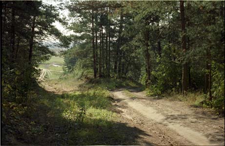 Сопка и лес в окресности города Жуков на реке Протва близ пионер-лагеря "Солнечный" позже им. Жукова (ныне ликвидирован)