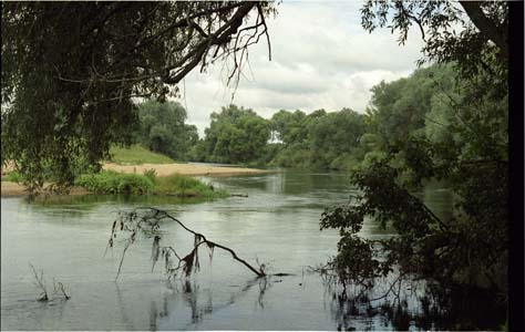 Река Протва близ города Жуков